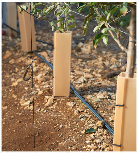 Προστατευτικό Φυτών Plant Protector 1 Τμχ