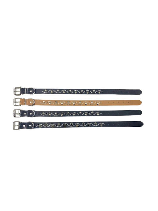 Hundehalsband Klein 25mm x 52cm 12 Stück (Verschiedene Farben) Hundehalsband Klein 25mm x 52cm 12 Stück (Verschiedene Farben)