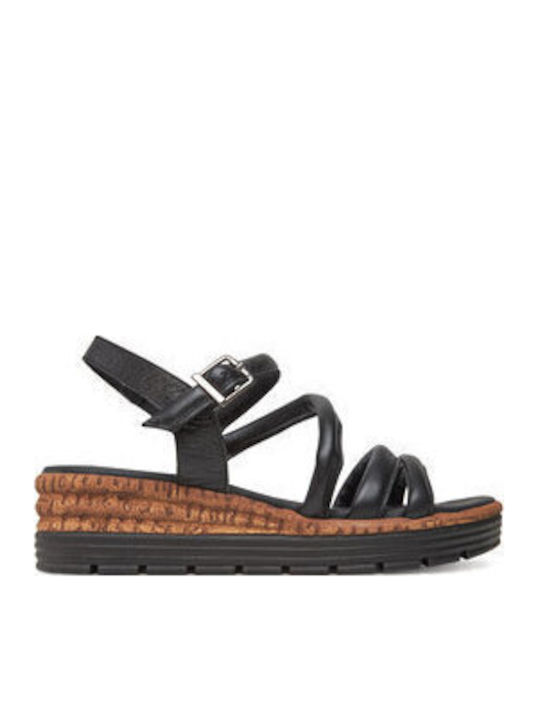 Platforme Dama Negre