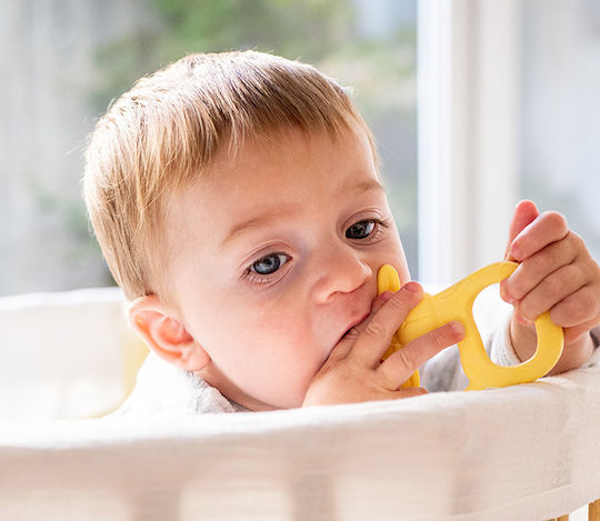 Saro Giraffe Party Beißring Zahnen Linderung aus Silikon für 6 m+