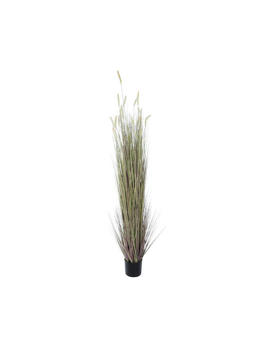 Globostar Artificial Garden Beige Lagurus 21104 Διακοσμητικό Φυτό Μπεζ Λαγοουρά Υ180cm Globostar Artificial Garden Beige Lagurus 21104 Διακοσμητικό Φυτό Μπεζ Λαγοουρά Υ180cm