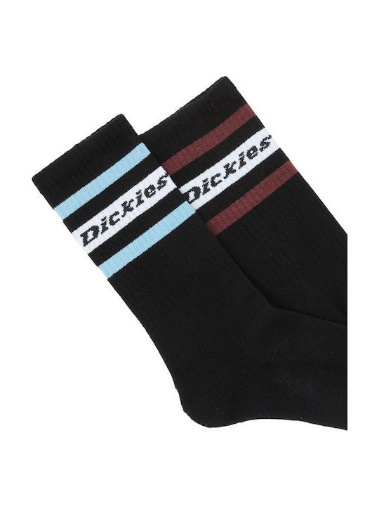 Dickies Genola Socken Schwarz 1Pack