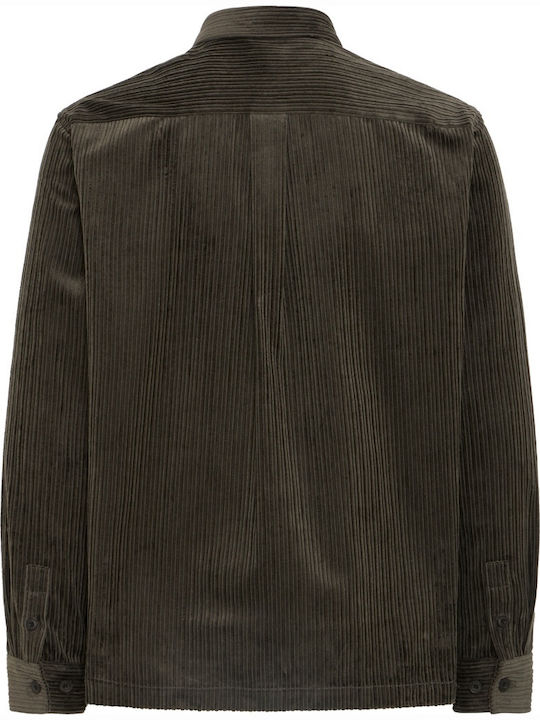 Hose Khaki
