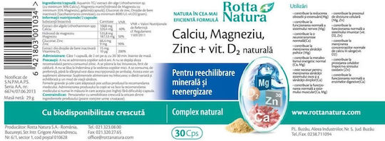 Calciu Magneziu Zinc + Vitamina D2 Naturală 30 Capsule Rotta Natura
