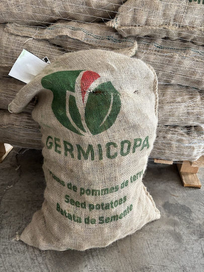 AgriMore Saatgut Kohl 25kg