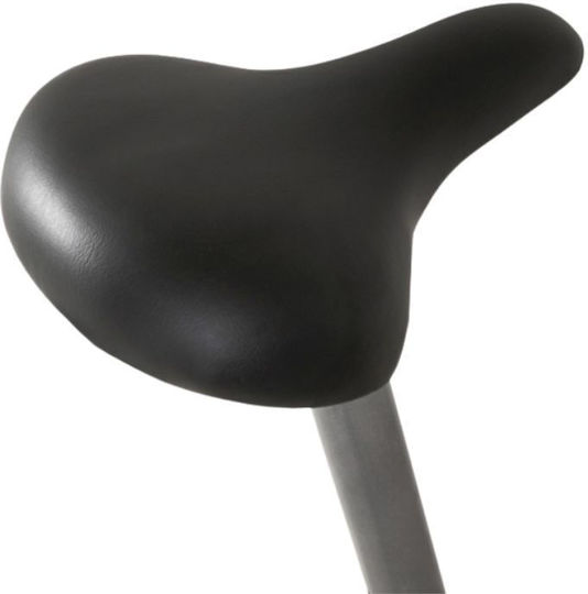 EverFit Upright Exercise Bike Magnetic