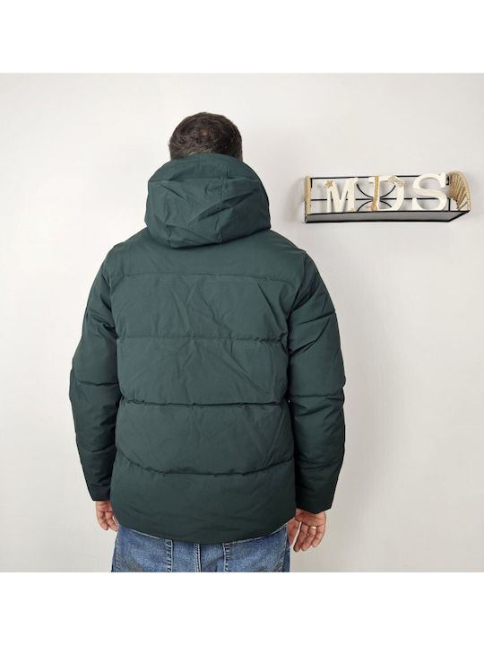 Winter Jacket Puffer Scarab