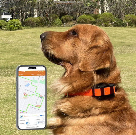 Roza Rz2864-3 Smart Wasserdichtes Anti-Lost Elektrisches Halsband Gps Hund 4500mah Orange