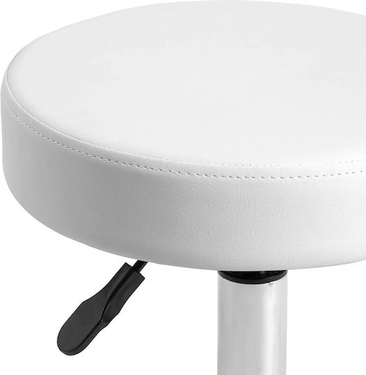 Salon Stools Scaun