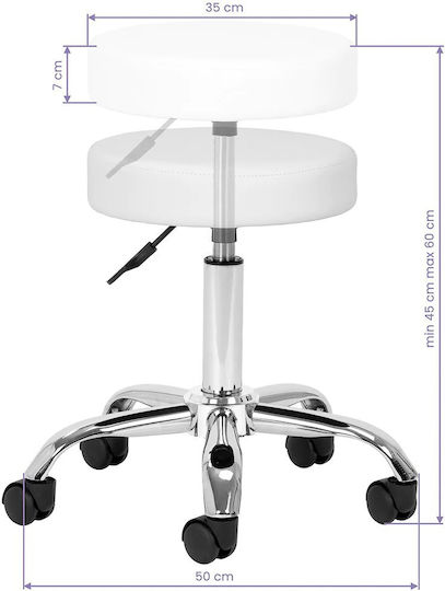 Salon Stools Scaun