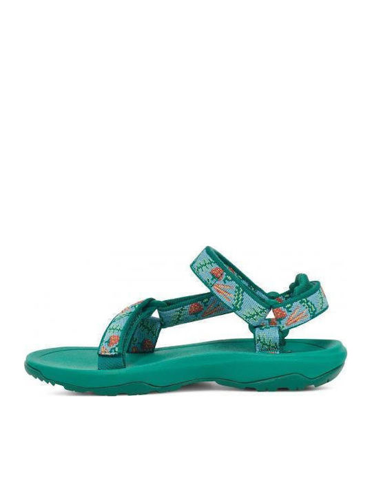 Teva
