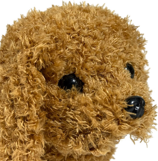 Cățeluș de pluș 19 cm.