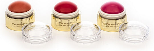 Tri-Coastal Design Tri-Coastal Tahari Animal Print Makeup Set Animal Print 3pcs
