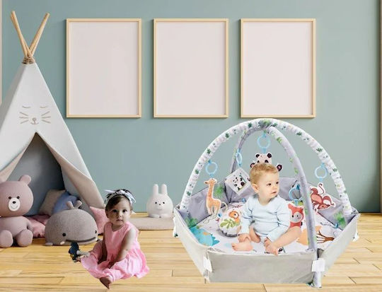 Activity Gym for Newborns