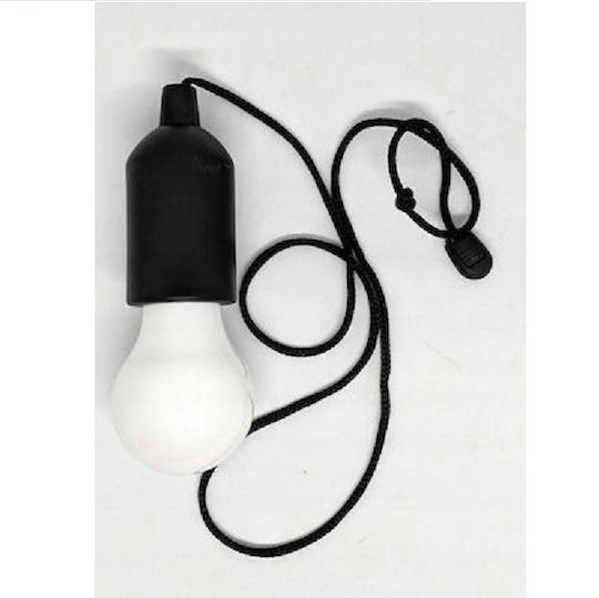 LED Light Globe for Cabinets with Battery Powered TY-6088 1pcs