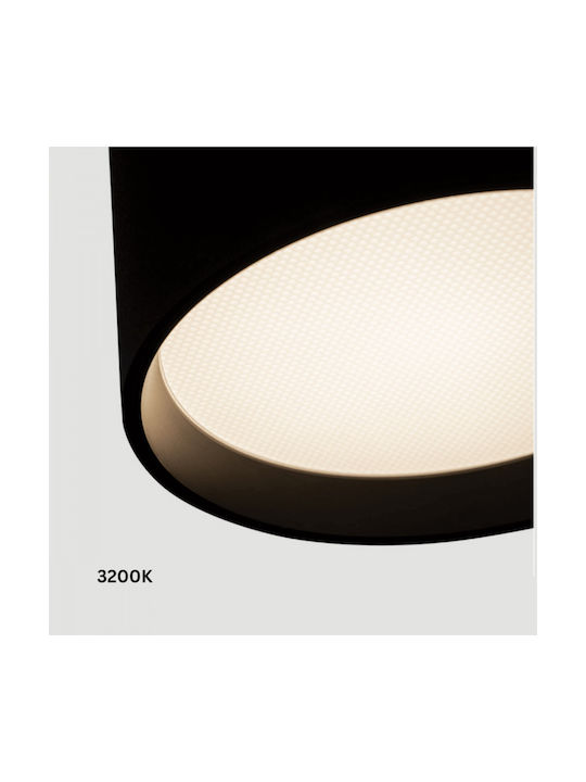 Zambelis Lights LED Warm to Cool White Spot in Black Color