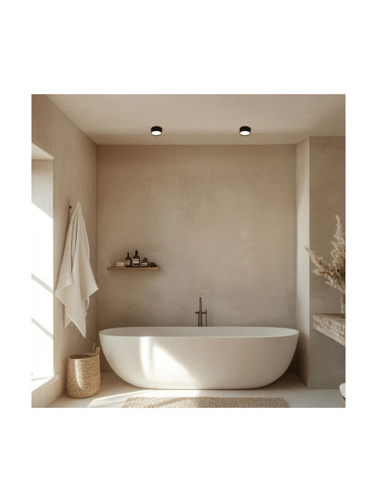 Zambelis Lights LED Warm to Cool White Spot in Black Color