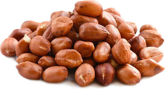 Terrasana Βιολογικά Φυστίκι Αραχίδα Ψημένα 250g 18229