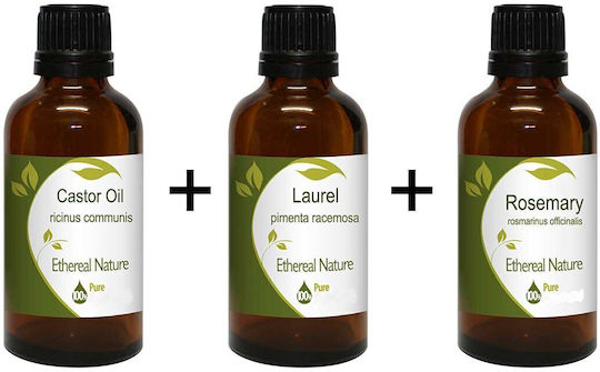 Samson Power Set Castor Oil 100ml + Laurel Oil 100ml + Rosemary Oil 100ml Nature & Body