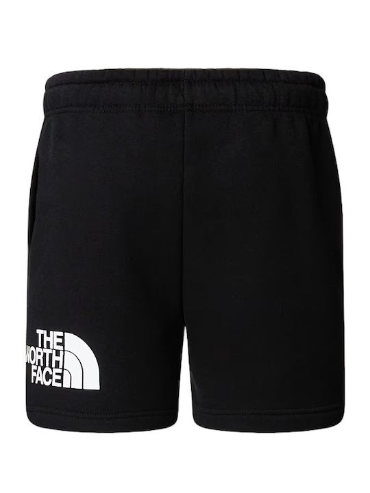 The North Face The North Face