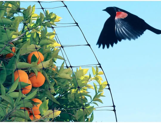 Verk Group Repellent Net Birds 4x6m