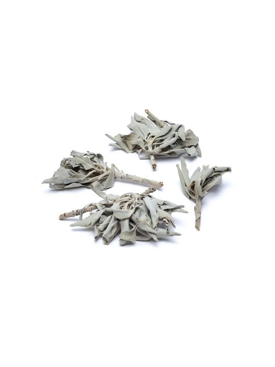 Purification White Sage Smudge Leaves White Sage Leaves 30g