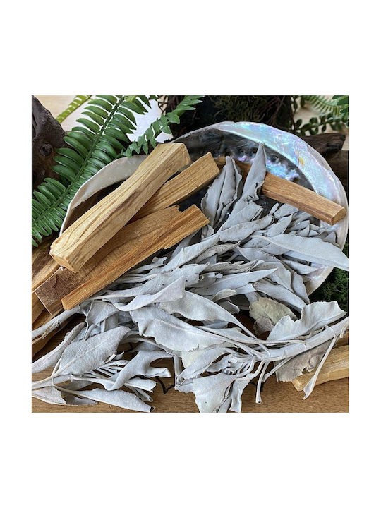 Purification White Sage Smudge Leaves White Sage Leaves 30g