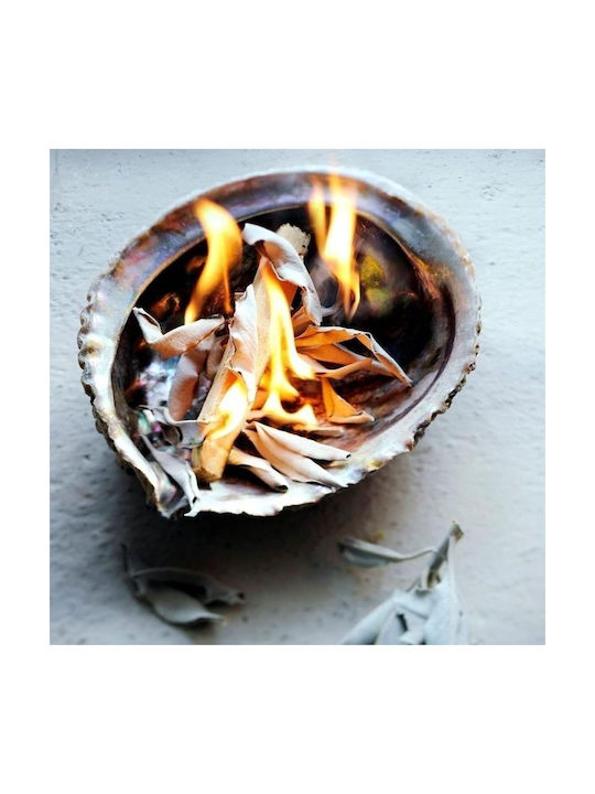 Purification White Sage Smudge Leaves White Sage Leaves 30g