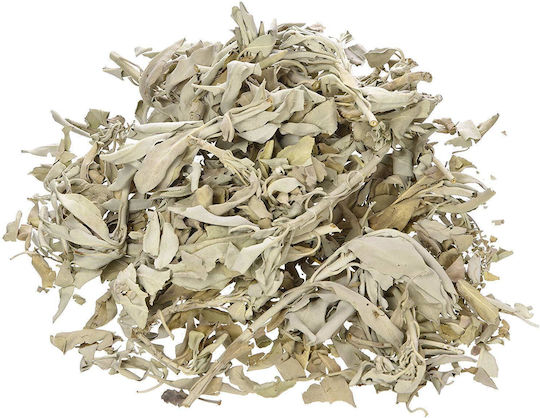Purification White Sage Smudge Leaves White Sage Leaves 30g