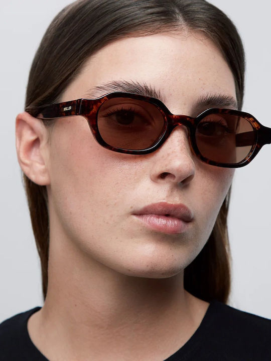 Meller Cumbi Male Sunglasses With Brown Horn-Rimmed Frame And Brown Lens CU-TUTGBROWN
