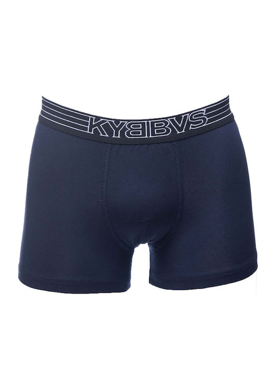 Kybbvs