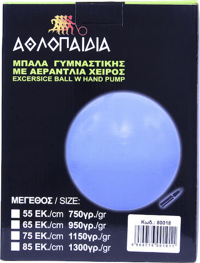 Athlopaidia Ball Pilates