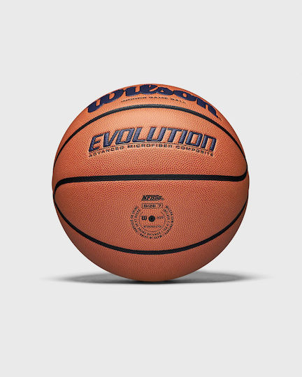 Wilson Evolution Pro 295 Game Minge De Baschet Interior/În Aer Liber