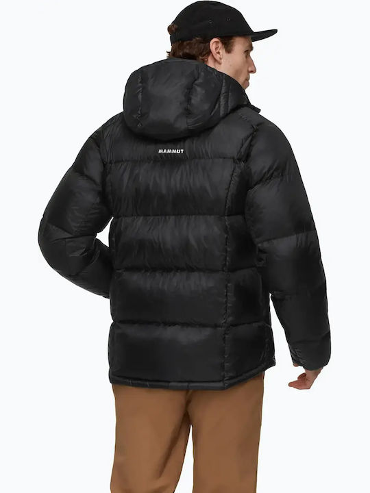 Mammut Mammut
