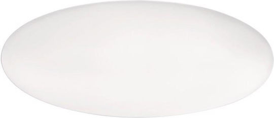 Espiel Coup Fine Dining Serving Platter Oval White 43x19cm