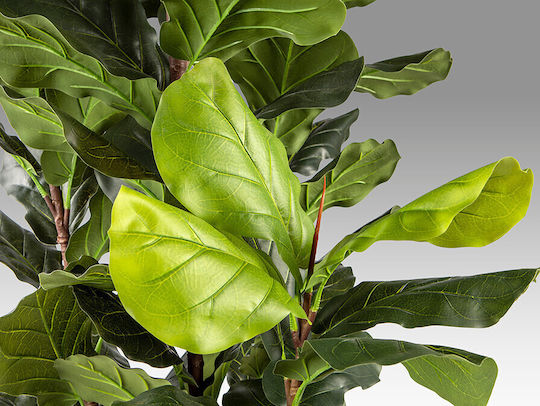 Хигуера Вайолин 281577 Изкуствено Растение Височина 250 Техническо Растение Ficus Lyrata