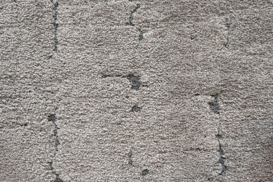 Ragolle Masai Χαλί Ορθογώνιο Masai 200x250cm