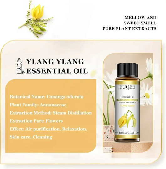 Essential Öl Euqee *16040-4 Dc Ylang Ylang Natürliche Zutaten 10 Ml