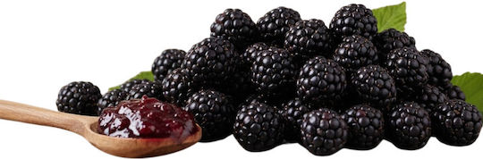 Fiordifrutta Βιολογική Μαρμελάδα Βατόμουρο / Μήλο 250gr