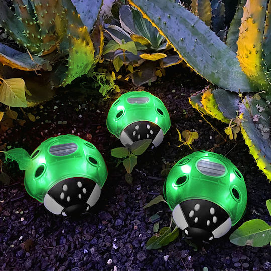 Solar Ladybug Lamp Green 14.5 X 12 X 6 Cm 6 Warm White LEDs
