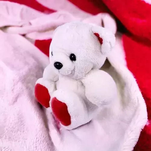 Chippo Плюшено Мечета 21 см.