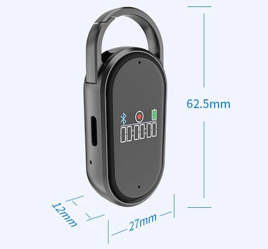 Surveillance Bug Capacity 8GB