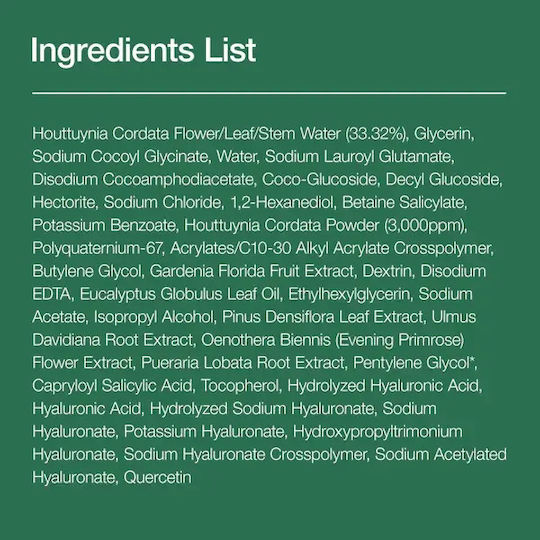 Anua Heartleaf Quercetinol Pore Αφρός Καθαρισμού Προσώπου για Ακνεϊκές Επιδερμίδες 150ml