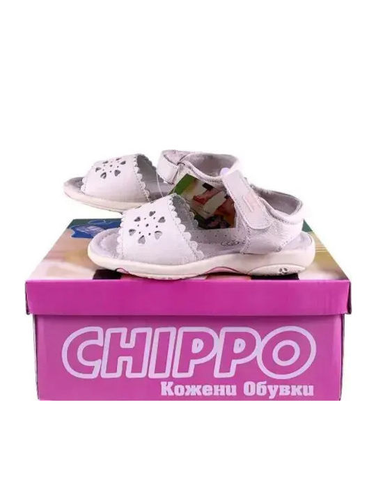 Chippo