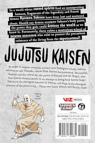 Jujutsu Kaisen Vol. 25