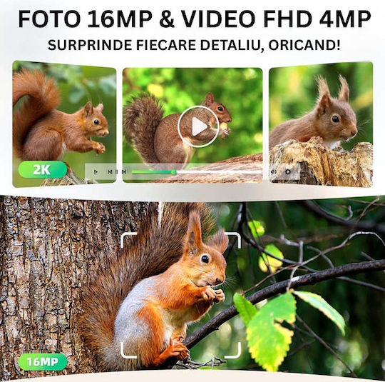 Cameră de Supraveghere Solară 4G GPS 16MP Foto 4MP Video Panou Solar 4W Baterie 7800mAh Detecție Mișcare Audio Bidirecțional IP65