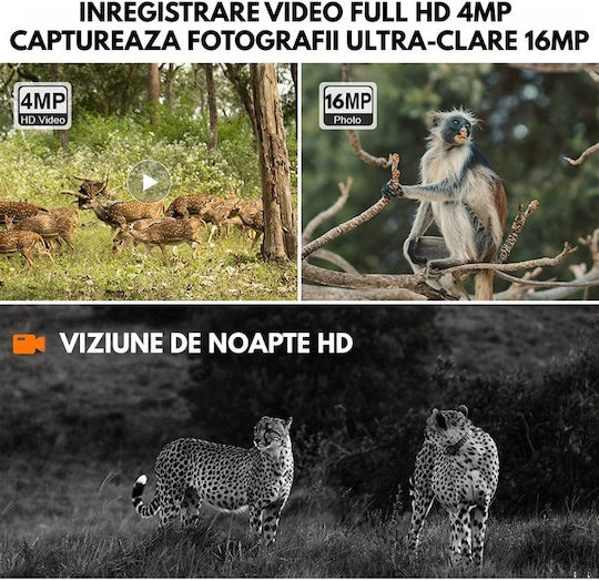 Cameră de Supraveghere Solară 4G 16MP Foto 4MP Video Panou Solar 4W Baterie 7800mAh Detectare Mișcare Audio Bidirecțional IP66