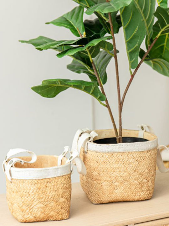 Artekko Plant Pot Concrete Beige 16x16x14cm 2pcs