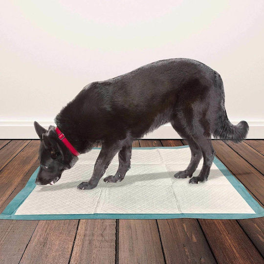 Easypet Пелени за кучета 60x60см 30бр