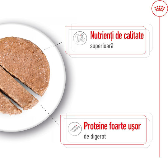 Royal Canin Maxi Wet Food Dogs Diet with Meat 12x410gr